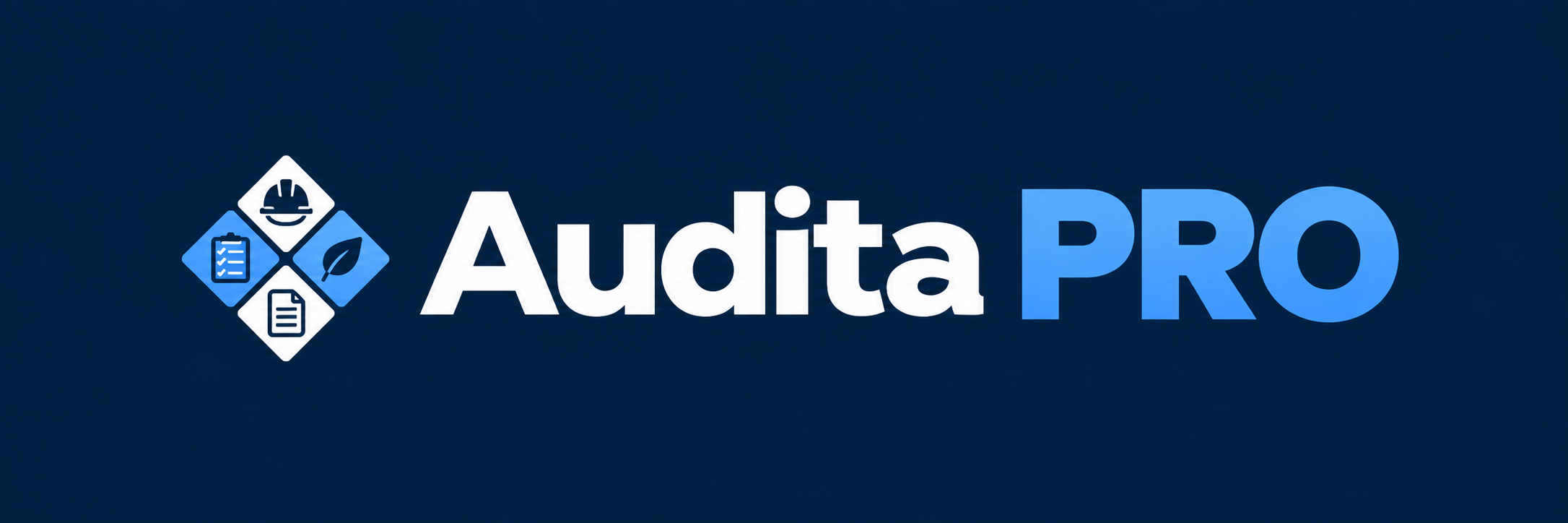 Audita PRO